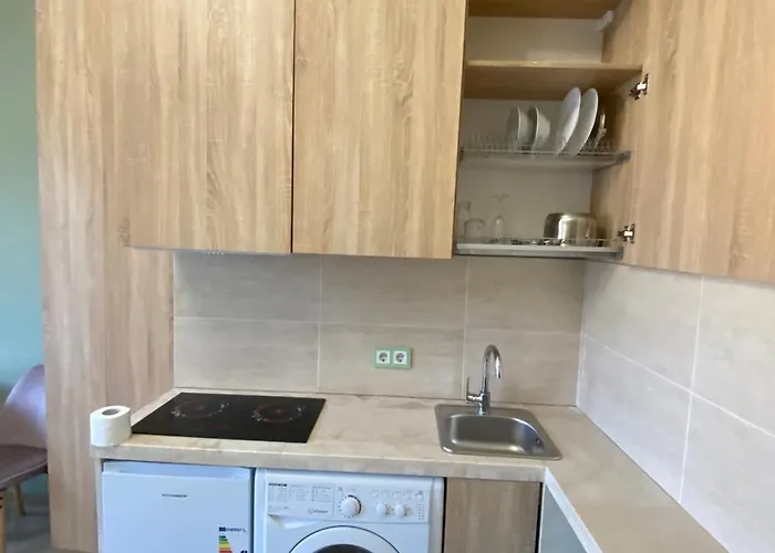 віп аппартаменти на малій арнаутській,59 Apartament Odessa